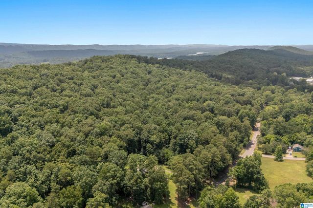 1800 REX LAKE ROAD, Leeds, AL 35094