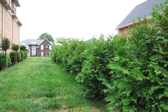 1023 Somerset Downs Blvd, Hendersonville, TN 37075