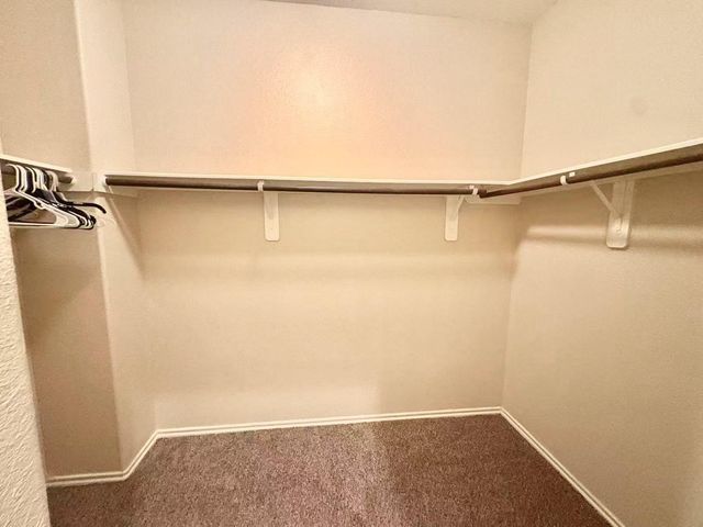 13826 Bonner Bluff Lane, Houston, TX 77047