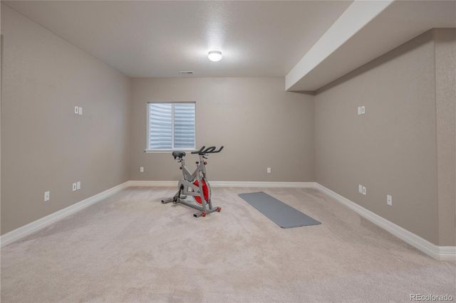13060 Norway Maple Street, Parker, CO 80134