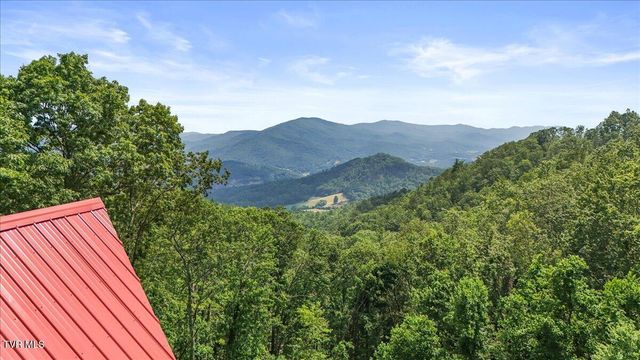 4014 Callalantee Drive, Mountain City, TN 37683