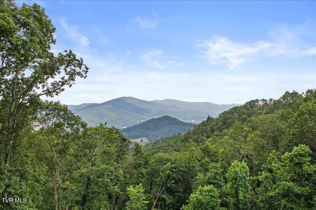 4014 Callalantee Drive, Mountain City, TN 37683