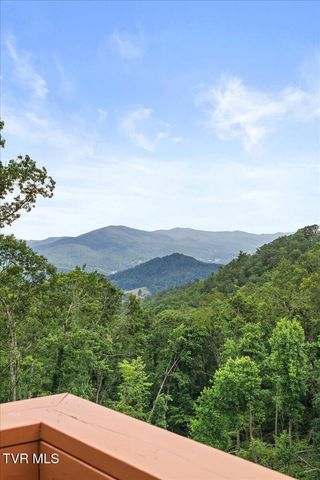4014 Callalantee Drive, Mountain City, TN 37683