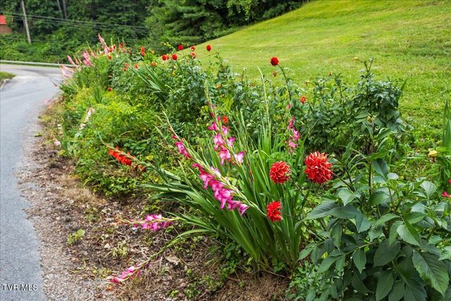 4014 Callalantee Drive, Mountain City, TN 37683