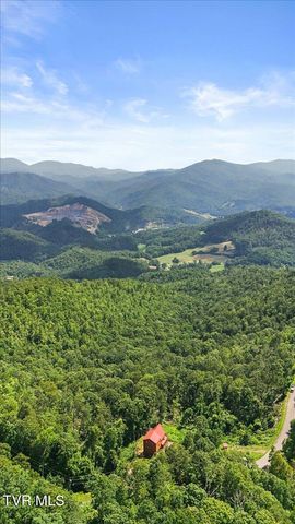 4014 Callalantee Drive, Mountain City, TN 37683