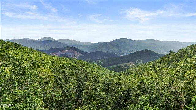 4014 Callalantee Drive, Mountain City, TN 37683