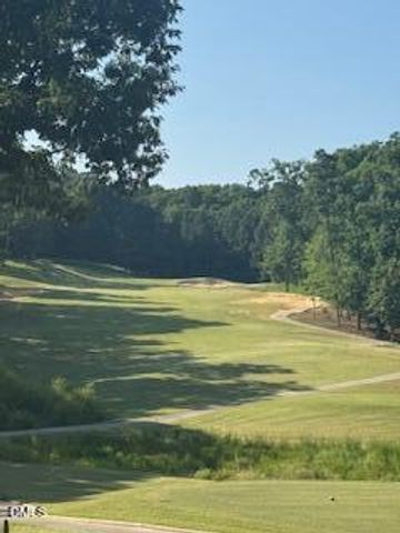 83 Broad Leaf Court, Chapel Hill, NC 27517