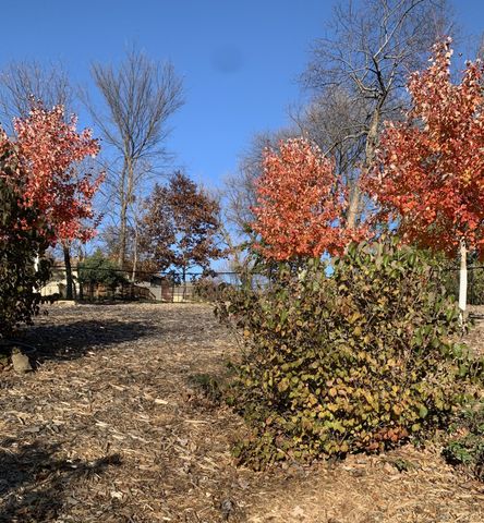 5041 193rd Street W, Farmington, MN 55024