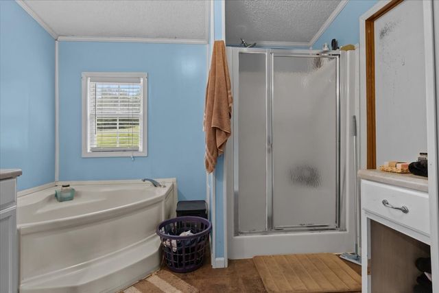 54 Tyler Ln, Erin, TN 37061