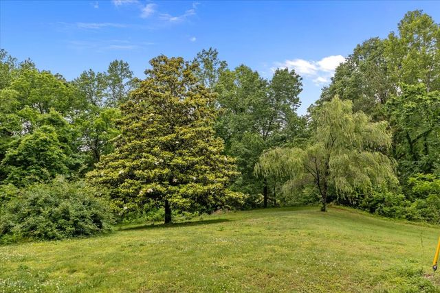 54 Tyler Ln, Erin, TN 37061