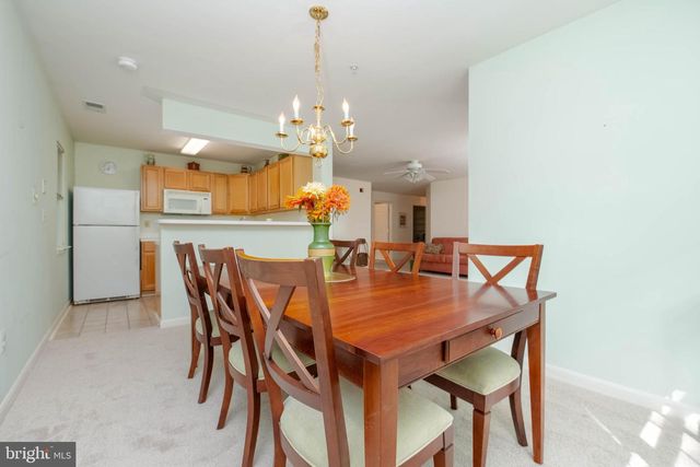 9151 GRACIOUS END CT #203, Columbia, MD 21046