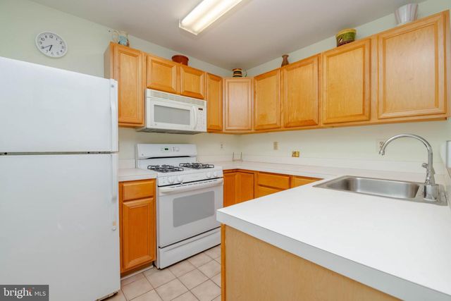 9151 GRACIOUS END CT #203, Columbia, MD 21046