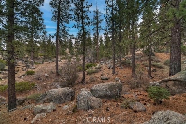 898 Brier Trail, Big Bear Lake, CA 92315