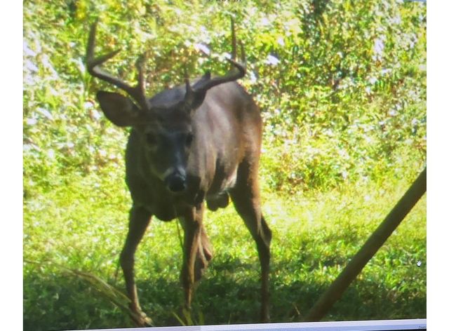 5397 Highway 21 W, Nacogdoches, TX 75964