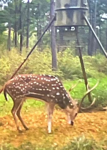 5397 Highway 21 W, Nacogdoches, TX 75964