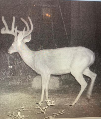 5397 Highway 21 W, Nacogdoches, TX 75964