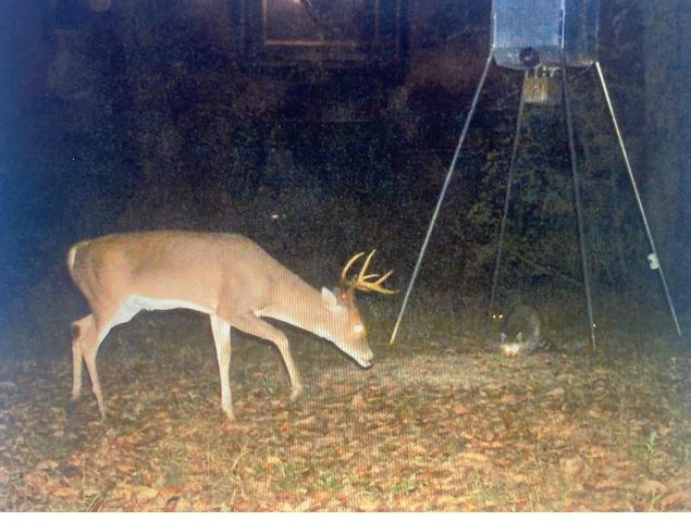 5397 Highway 21 W, Nacogdoches, TX 75964