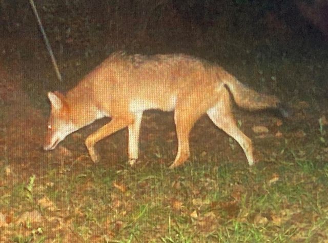 5397 Highway 21 W, Nacogdoches, TX 75964