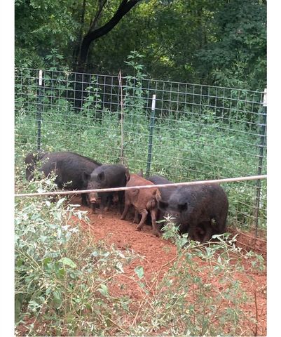 5397 Highway 21 W, Nacogdoches, TX 75964