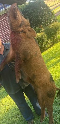 5397 Highway 21 W, Nacogdoches, TX 75964