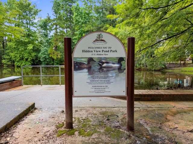 27 W Stony Bridge Court, The Woodlands, TX 77381