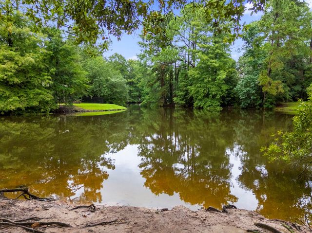 27 W Stony Bridge Court, The Woodlands, TX 77381