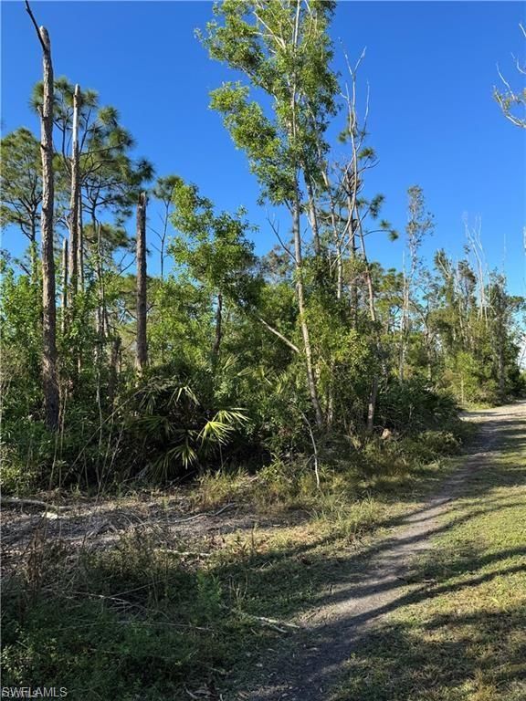 Guava AVE, BOKEELIA, FL 33922 — photo 3