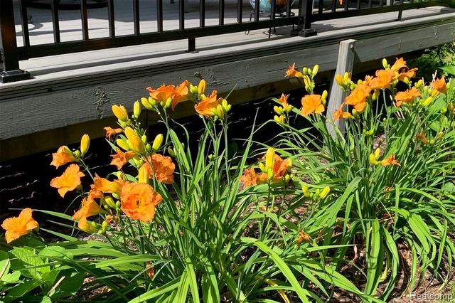 3355 Elmy Drive, Lake Orion, MI 48359