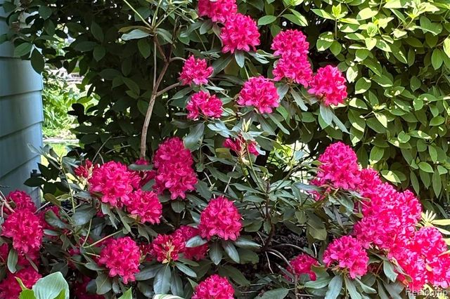 3355 Elmy Drive, Lake Orion, MI 48359