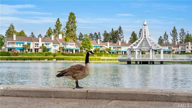 65 Pinewood 33, Irvine, CA 92604