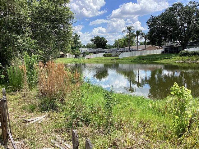 15803 IRONWARE PLACE, Tampa, FL 33624