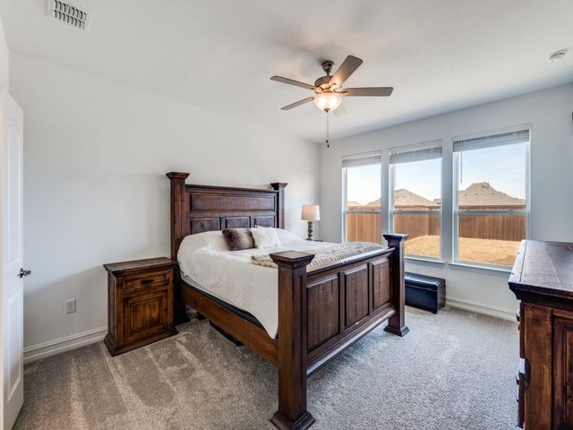 4408 Minnow Cove Road, Oak Point, TX 75068