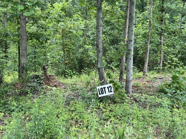 12 Slaughter Rd, Primm Springs, TN 38476