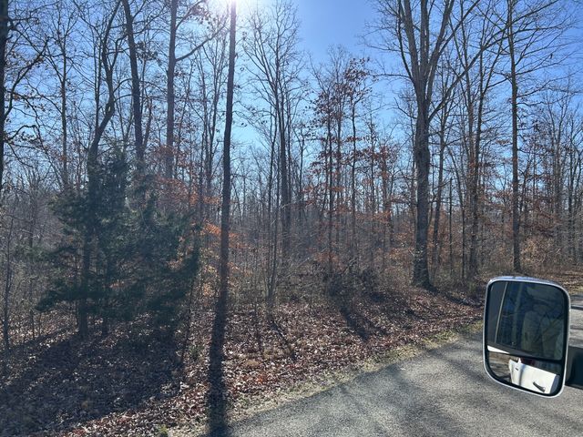 12 Slaughter Rd, Primm Springs, TN 38476