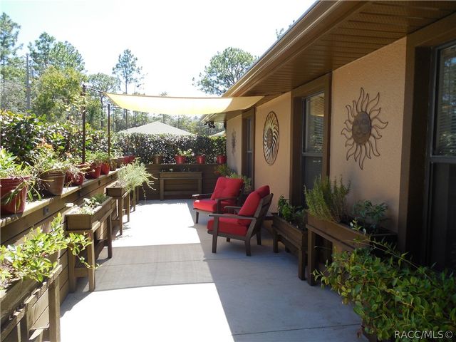 9790 N LATHYRUS Terrace, Citrus Springs, FL 34433