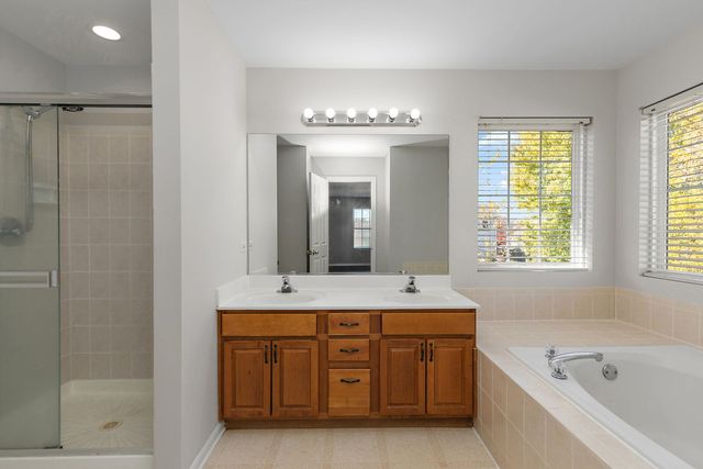 54 Meadows Drive, Gilberts, IL 60136