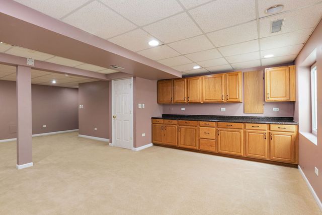 54 Meadows Drive, Gilberts, IL 60136