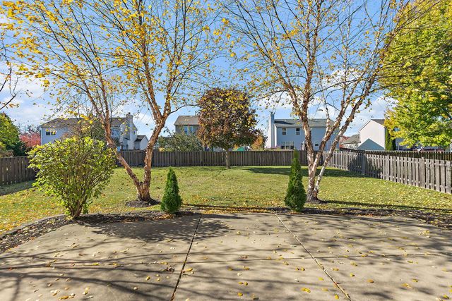 54 Meadows Drive, Gilberts, IL 60136