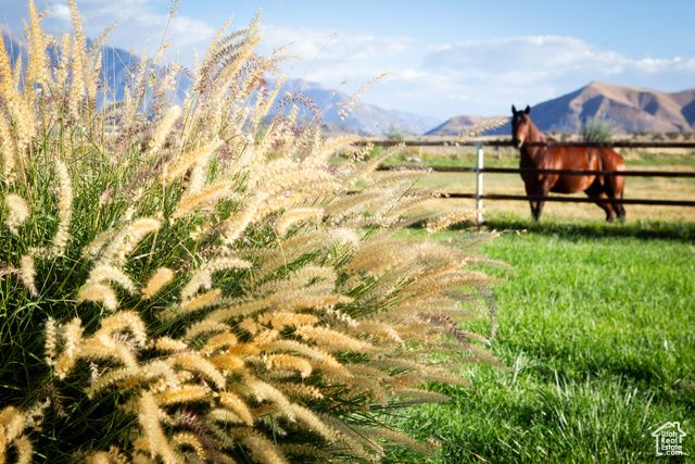 11448 W HIGHWAY 6, Goshen, UT 84633