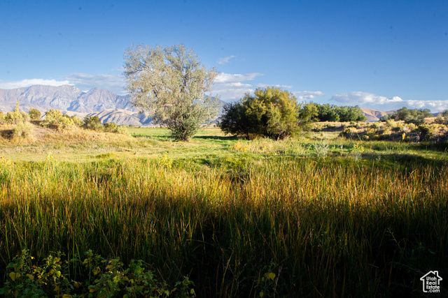 11448 W HIGHWAY 6, Goshen, UT 84633