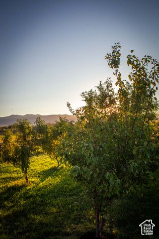 11448 W HIGHWAY 6, Goshen, UT 84633