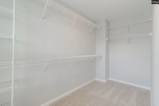 916 Appian Way, Columbia, SC 29229