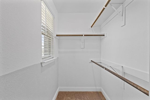 593 Hutchinson Lane, Lewisville, TX 75077