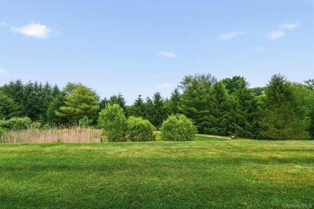 705 Egrets Landing, Carmel, NY 10512