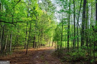 0 Cameron Mill Road, Lagrange, GA 30240