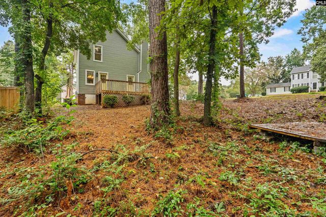 101 E Sparrowood Run, Lexington, SC 29072