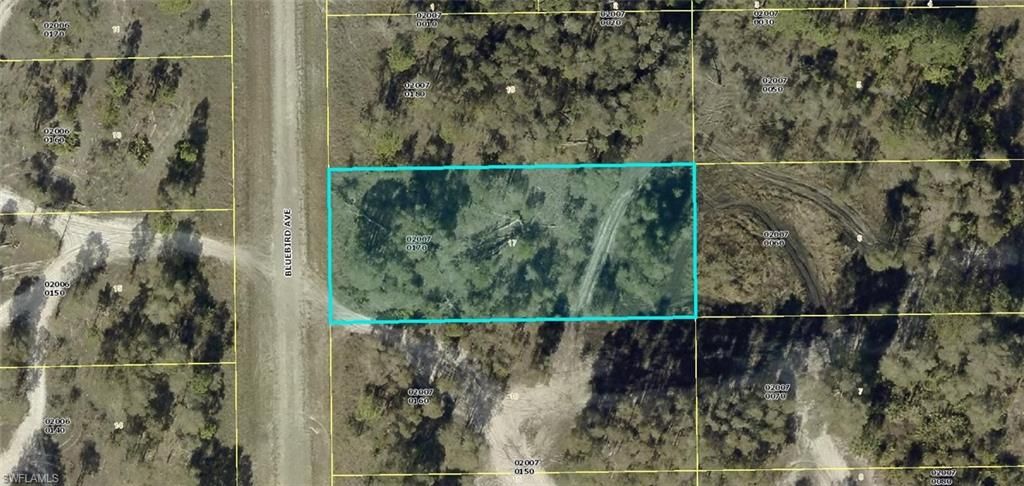 719 Bluebird AVE, LEHIGH ACRES, FL 33974 — exterior