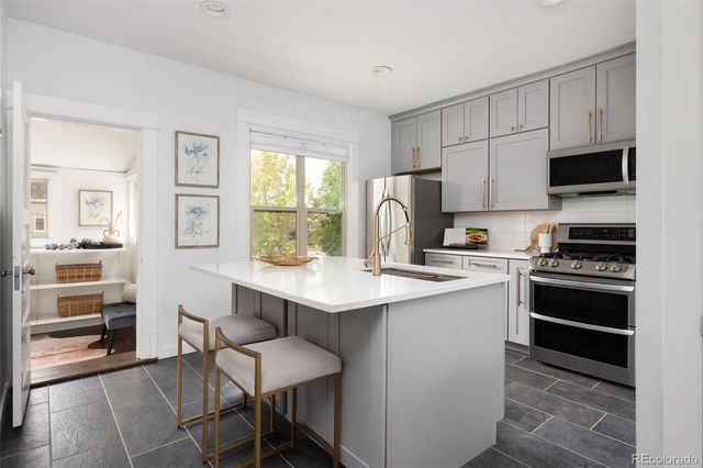 1729 N Marion Street 201, Denver, CO 80218