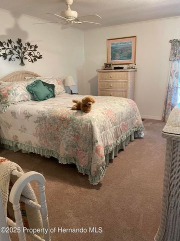 14456 Brookridge Boulevard, Spring Hill, FL 34613