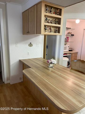 14456 Brookridge Boulevard, Spring Hill, FL 34613